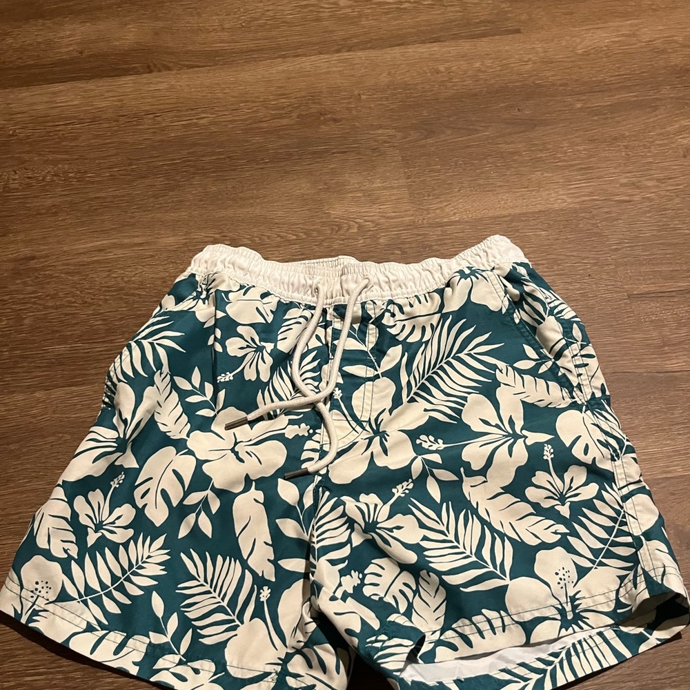 American Eagle Outfitters Swimming Shorts Teal Floral